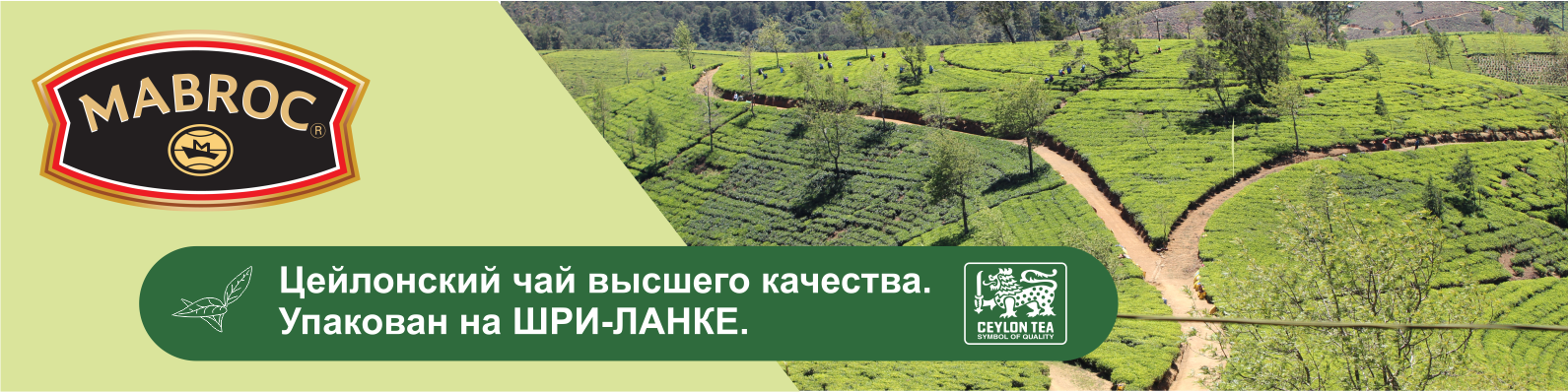 Весовой чай